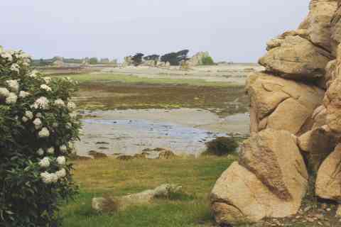 Rochers, jardin, plage