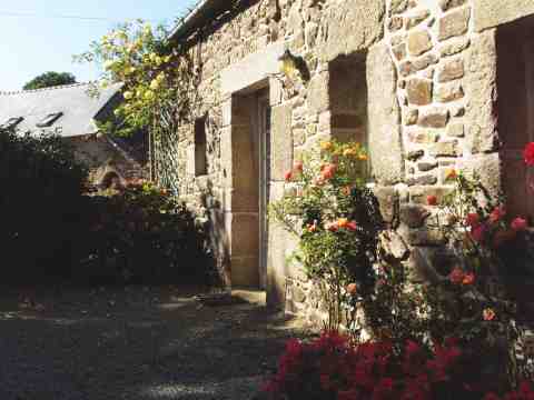 cour